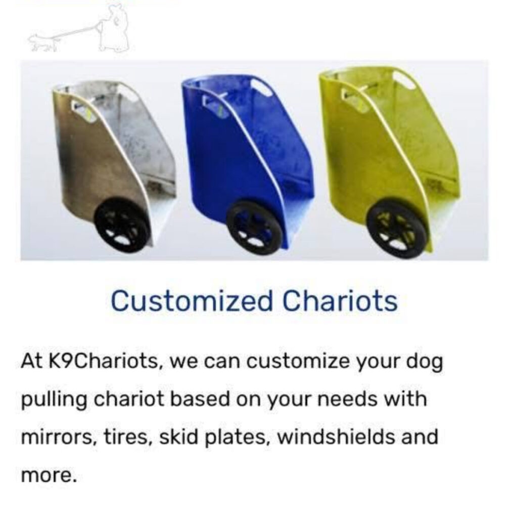 Re1Novelty Chariot