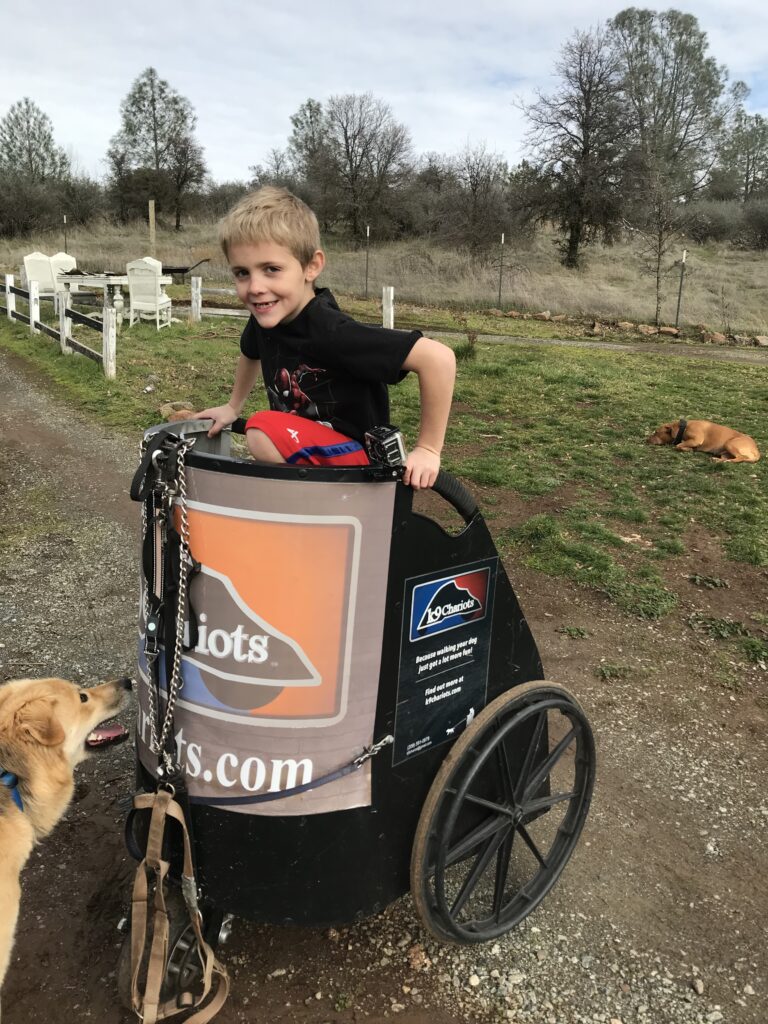 Kid in the Chariot