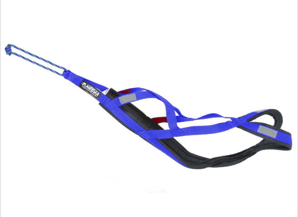 Action Harness