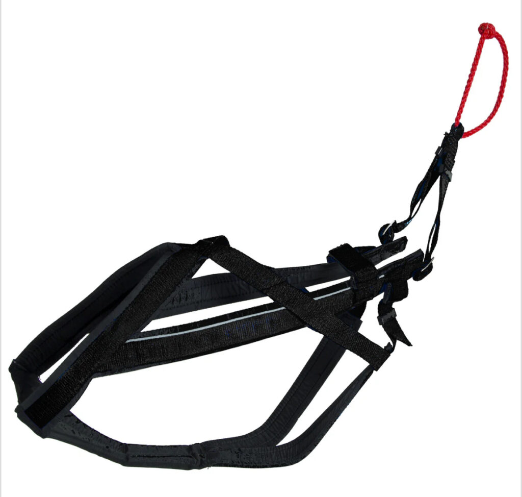 Trail Harness