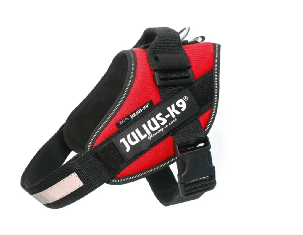 Sport Harness